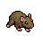 Meadow Rat